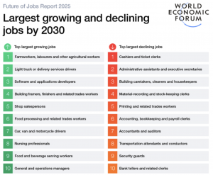 Largest growing and declining jobs by 2030. World Economic Forum.